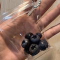 Mini Blueberry Bag Silicone Squishy